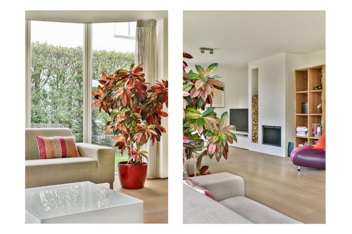 Foto 7 van Burgemeester Beelaertspark 297