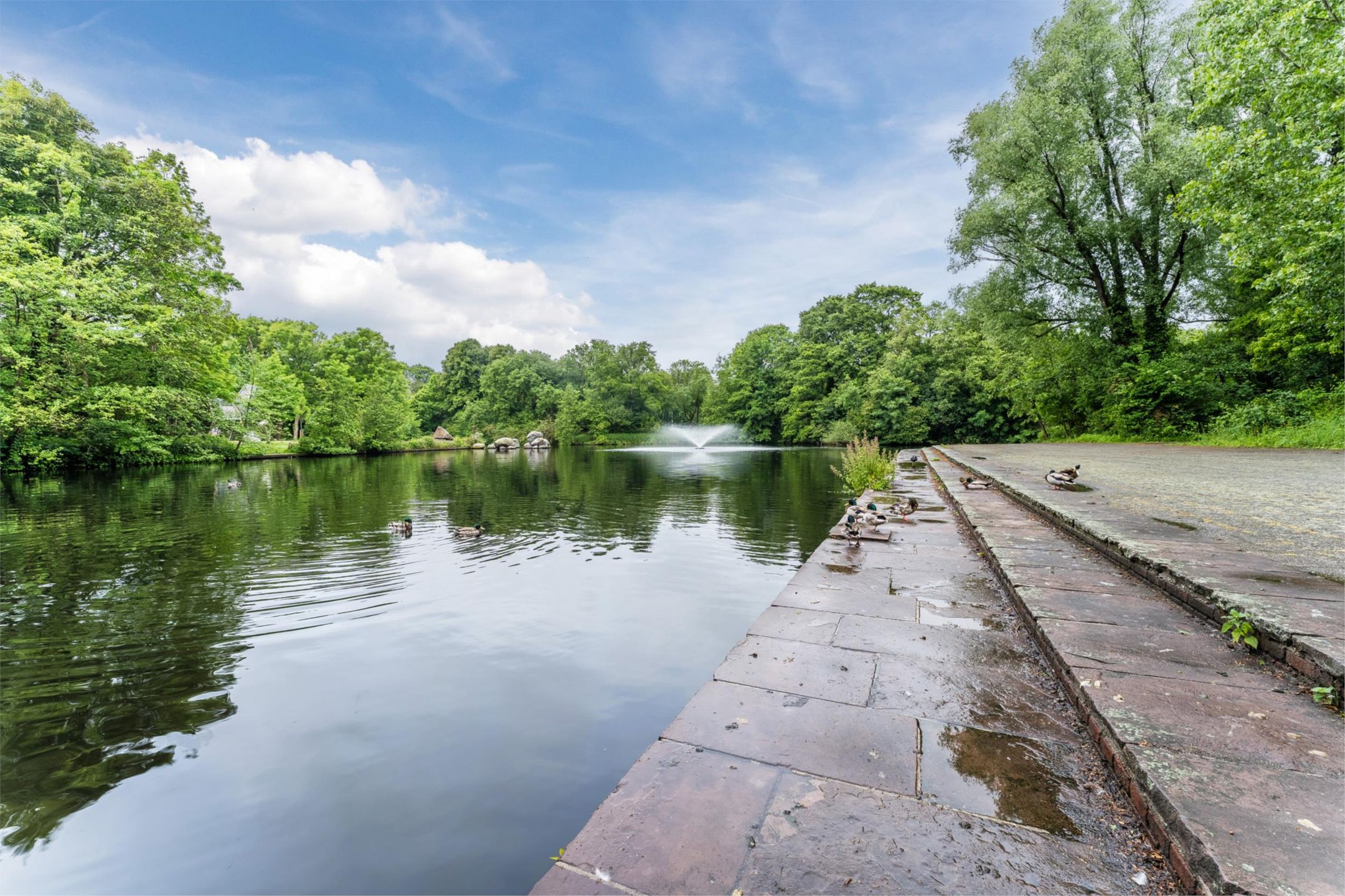 Foto 36 van Vlaskamp 452