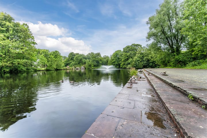 Foto 36 van Vlaskamp 452