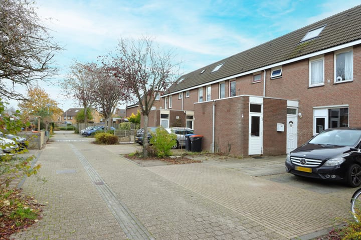 Foto 4 van Botter 41 13