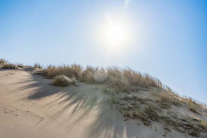 Photo 36 of Rembrandtweg 11-A