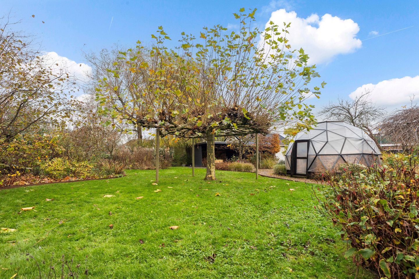 Foto 49 van Hôfsleane 40