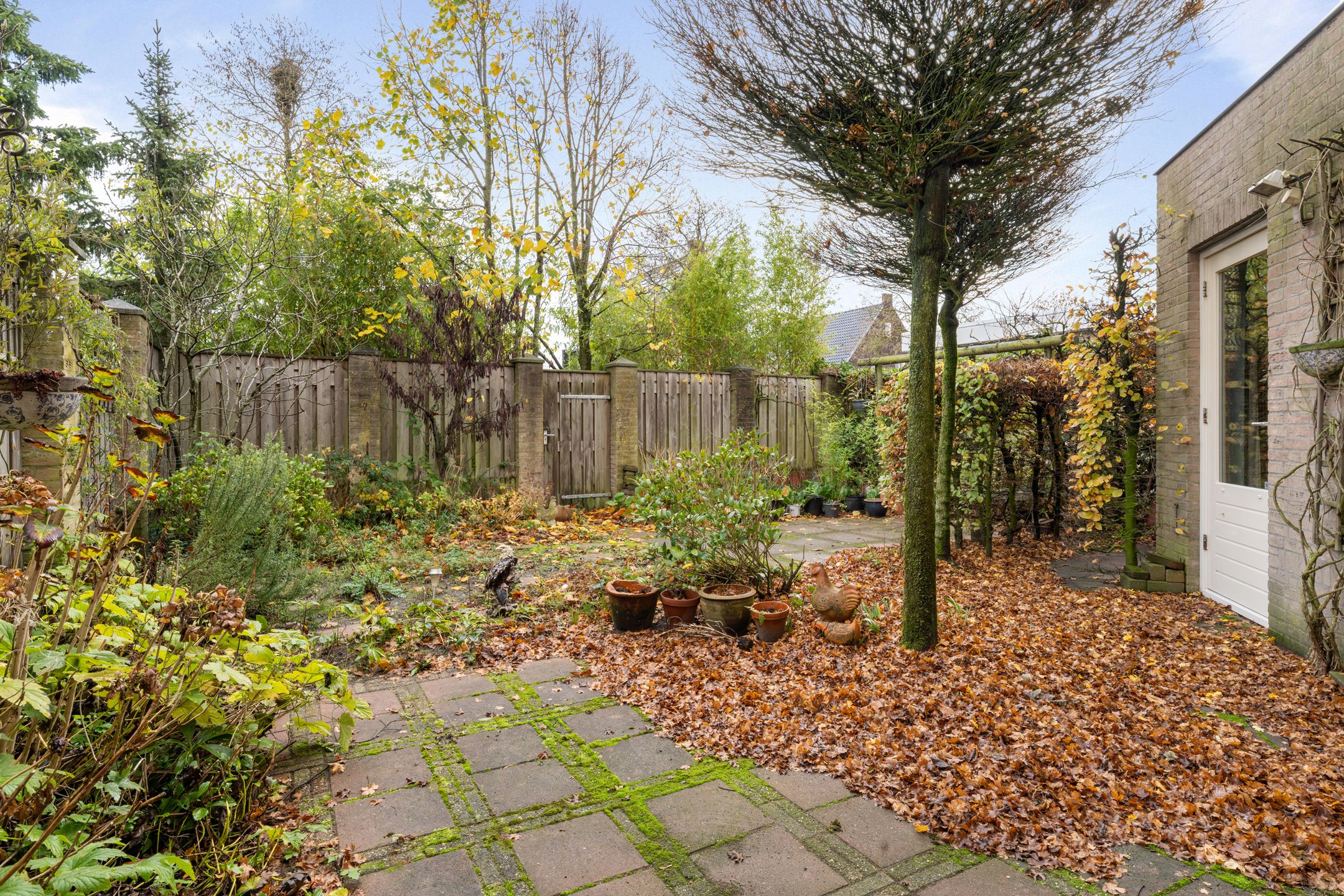 Foto 42 van Entstraat 4