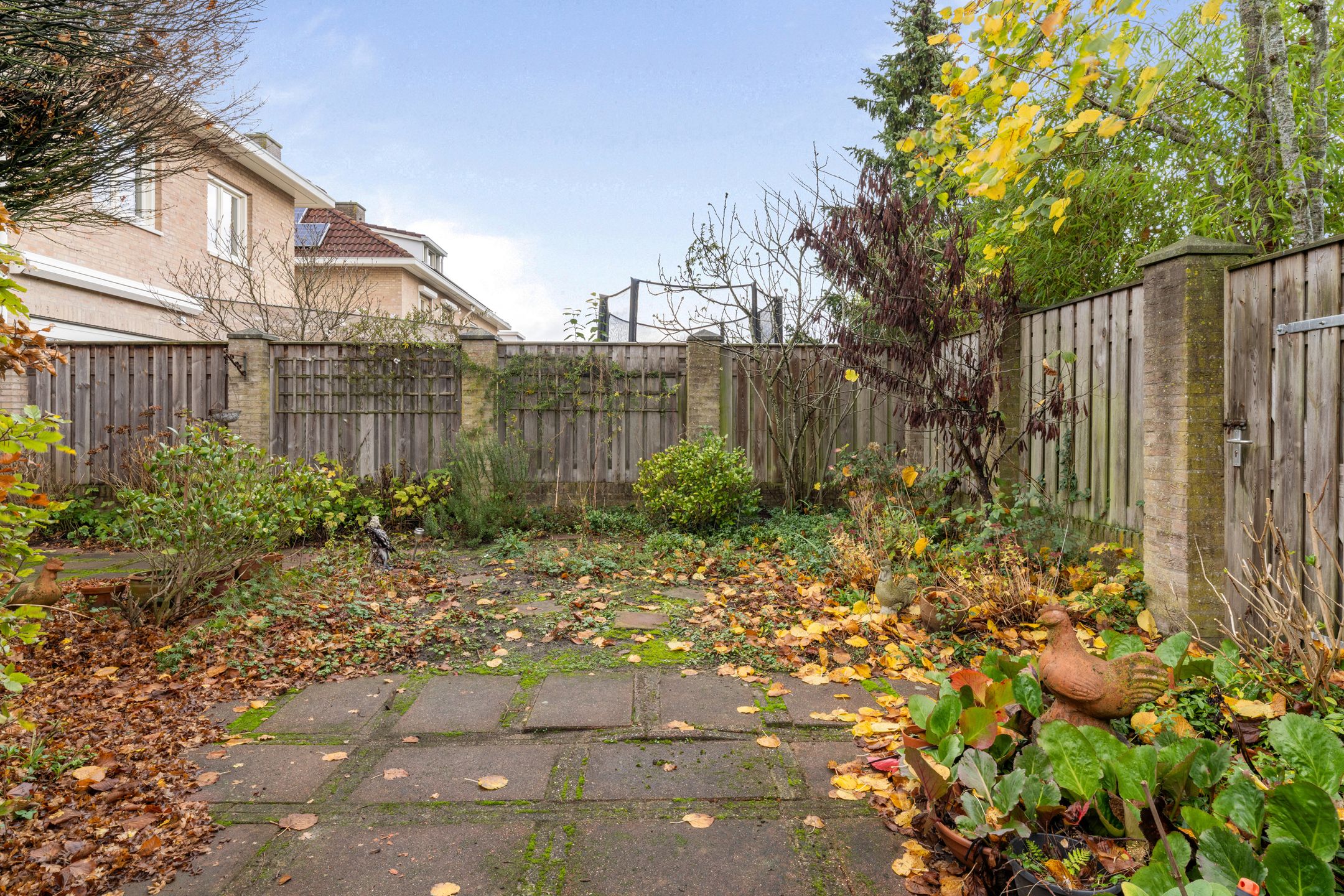 Foto 45 van Entstraat 4