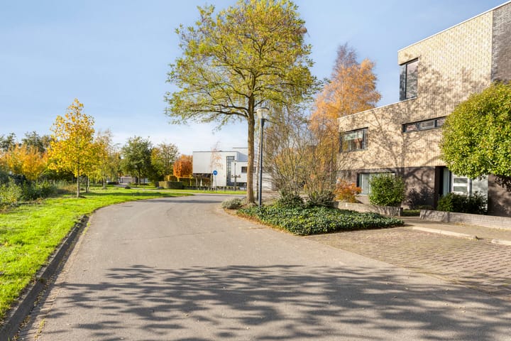 Photo 8 of Grassteppe 2