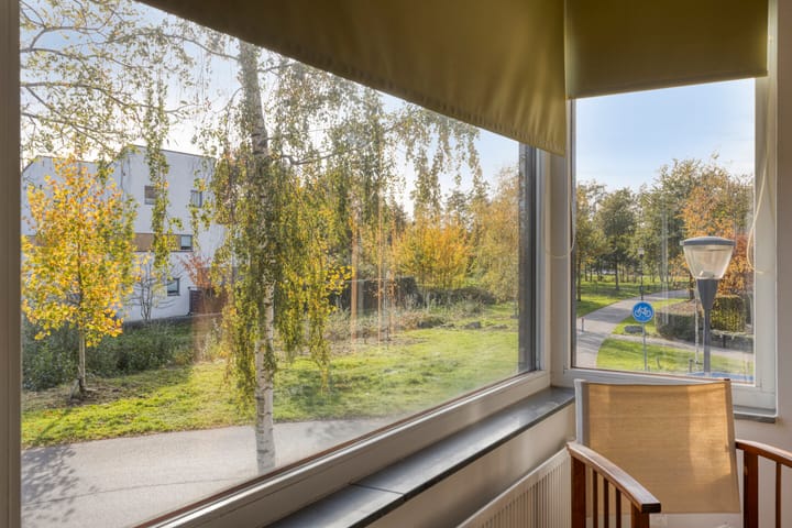 Photo 35 of Grassteppe 2