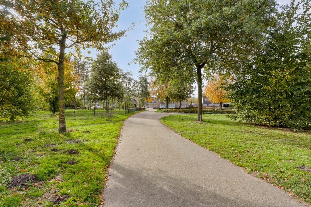 Foto 47 van Grassteppe 2
