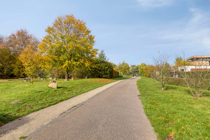 Photo 48 of Grassteppe 2