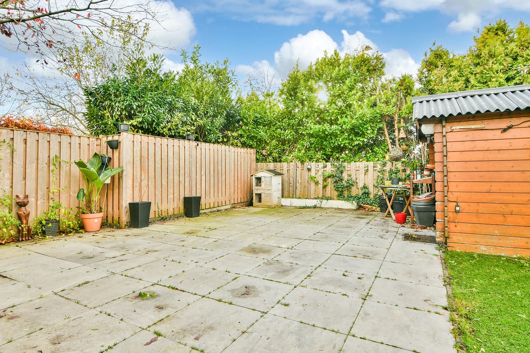 Foto 17 van Graan voor Visch 19701