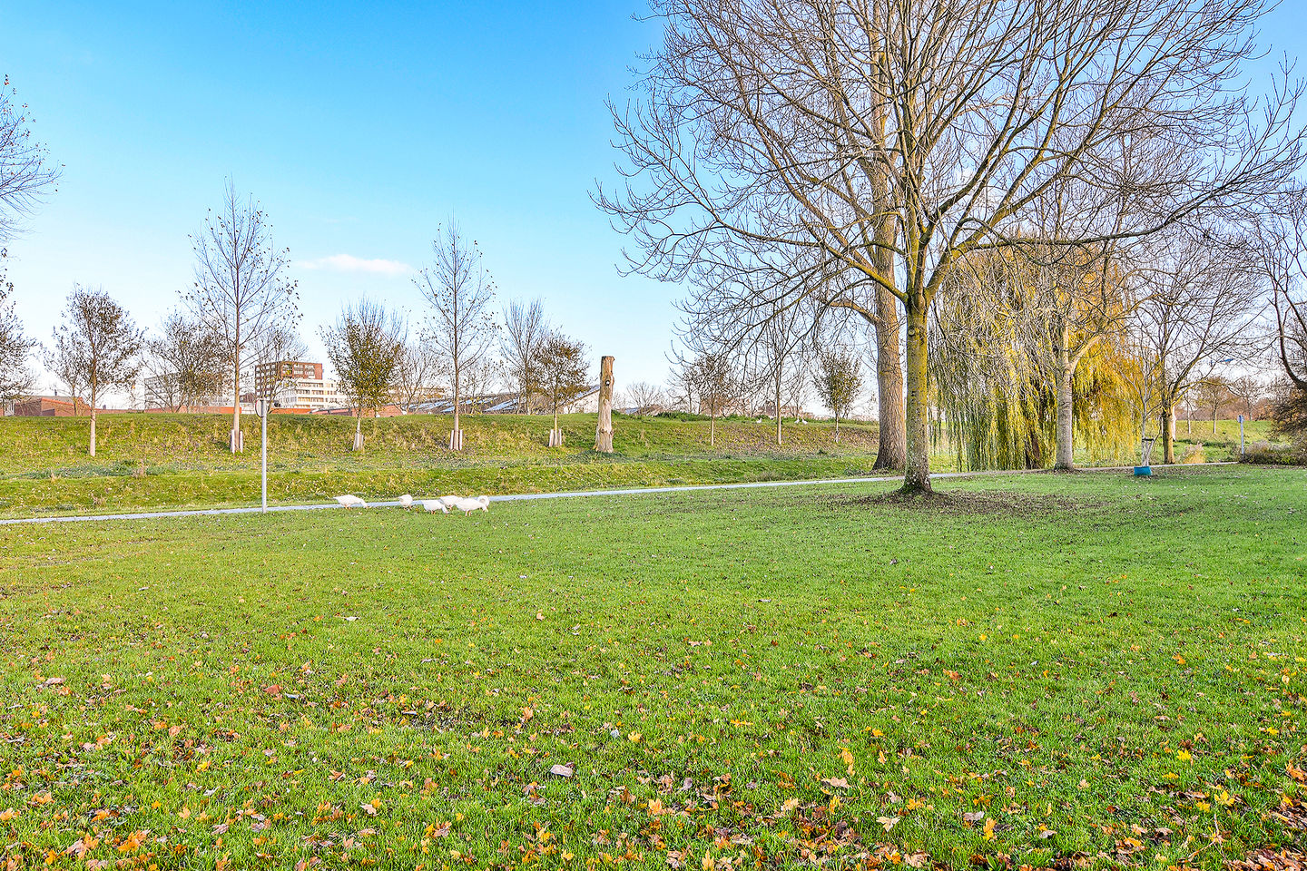 Foto 40 van Graan voor Visch 19701