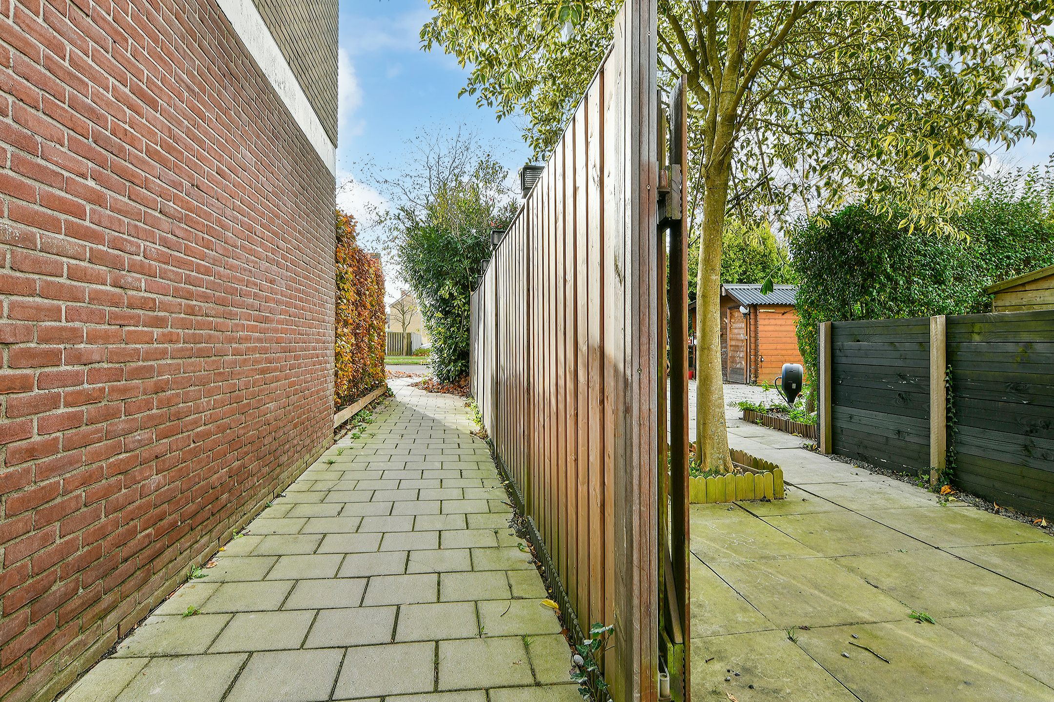 Foto 42 van Graan voor Visch 19701