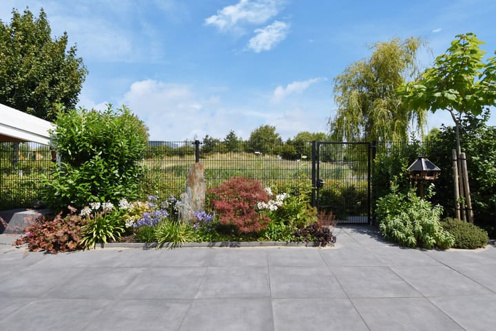 Photo 82 of Dr. Ter Haarlaan 28