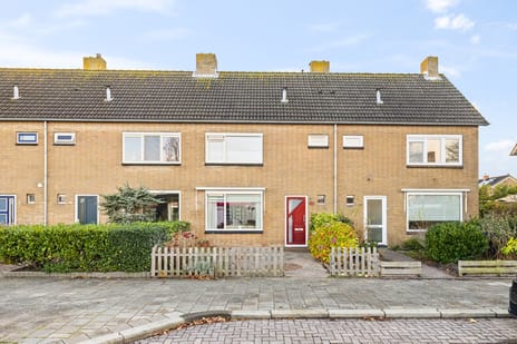 undefined main image