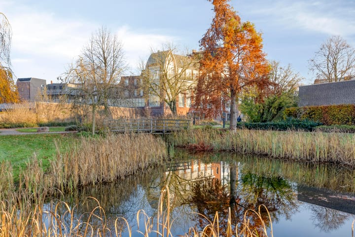 Photo 42 of Nassaustraat 26