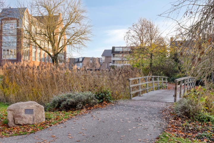 Photo 43 of Nassaustraat 26