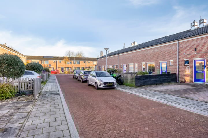 Photo 30 of Ornament 9