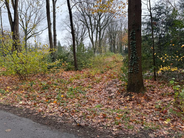 Foto 2 van Oranjepark