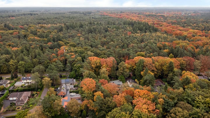 Foto 6 van Oranjepark