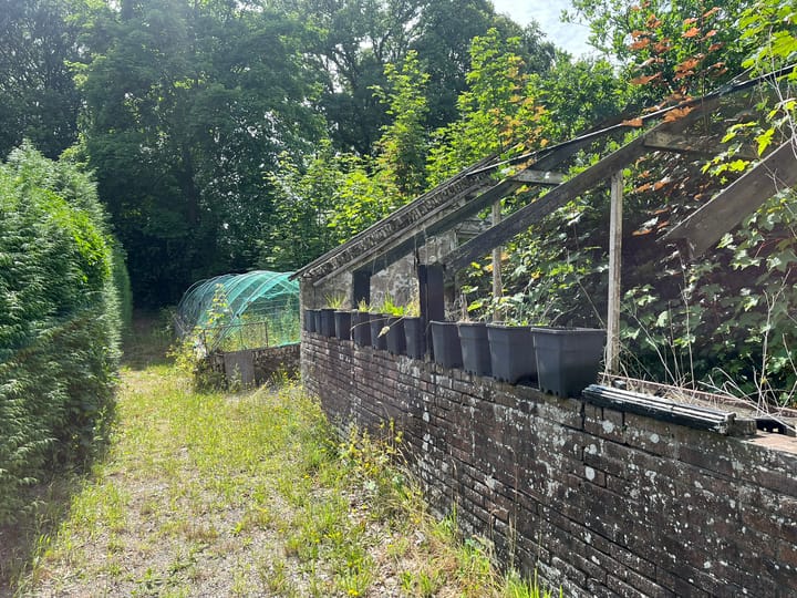 Foto 3 van Schoterlandseweg 43