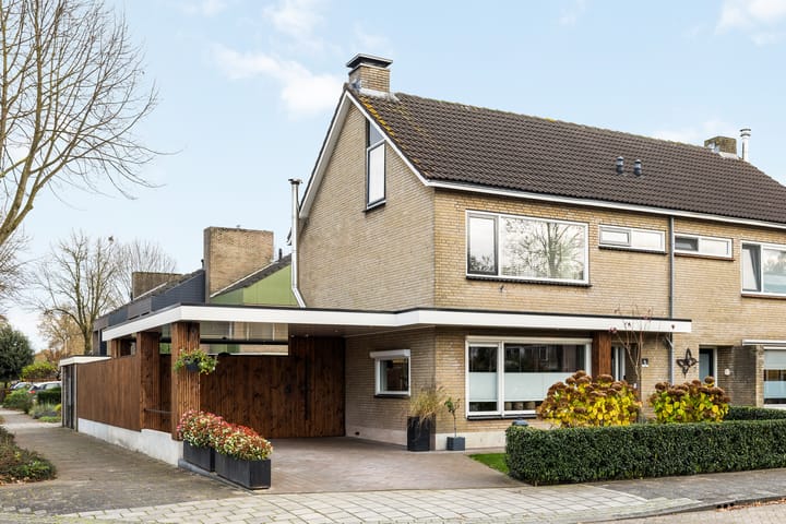 Foto 3 van de Haar 1