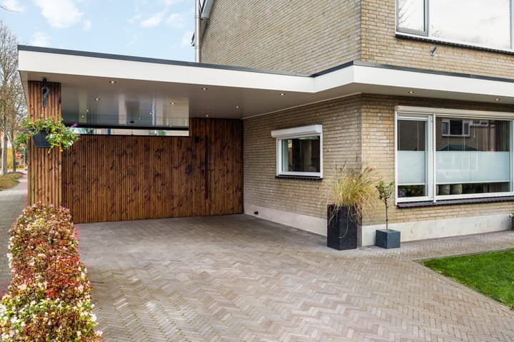 Foto 7 van de Haar 1