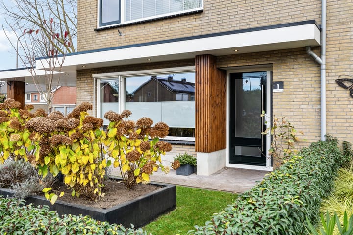 Foto 9 van de Haar 1