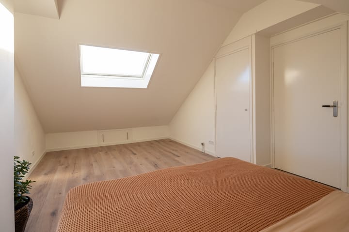 Foto 38 van de Haar 1