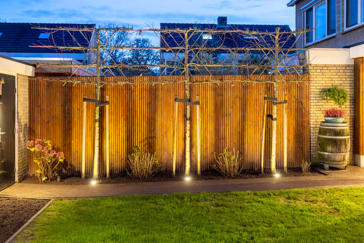 Foto 51 van de Haar 1