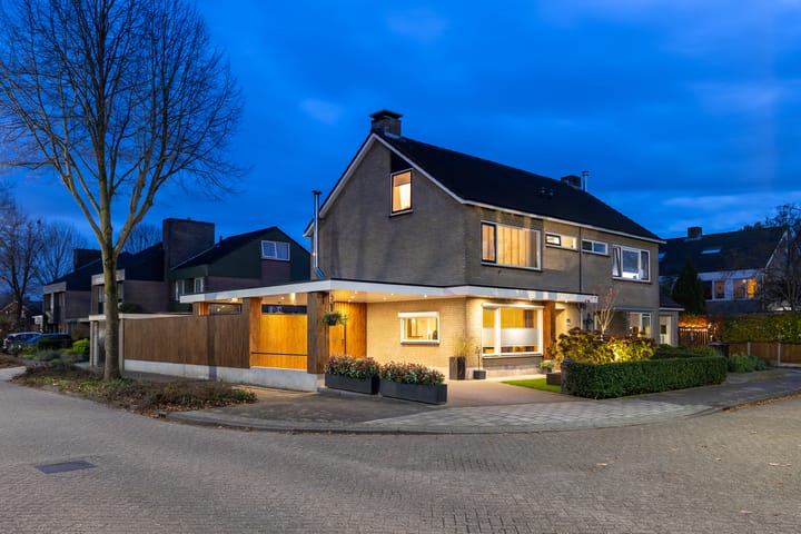 Foto 53 van de Haar 1