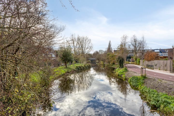 Photo 39 of Klaproos 9