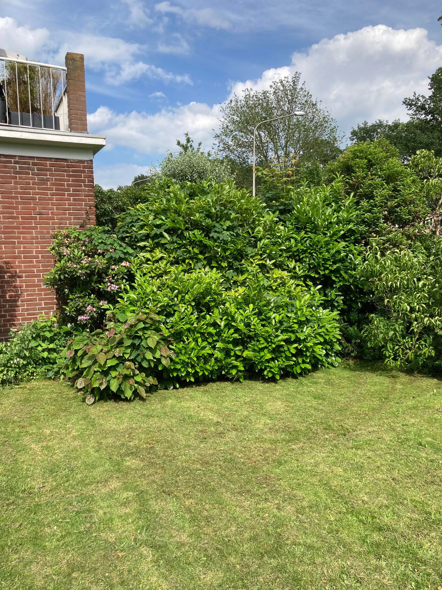 Photo 34 of Anthony Duyckstraat 2