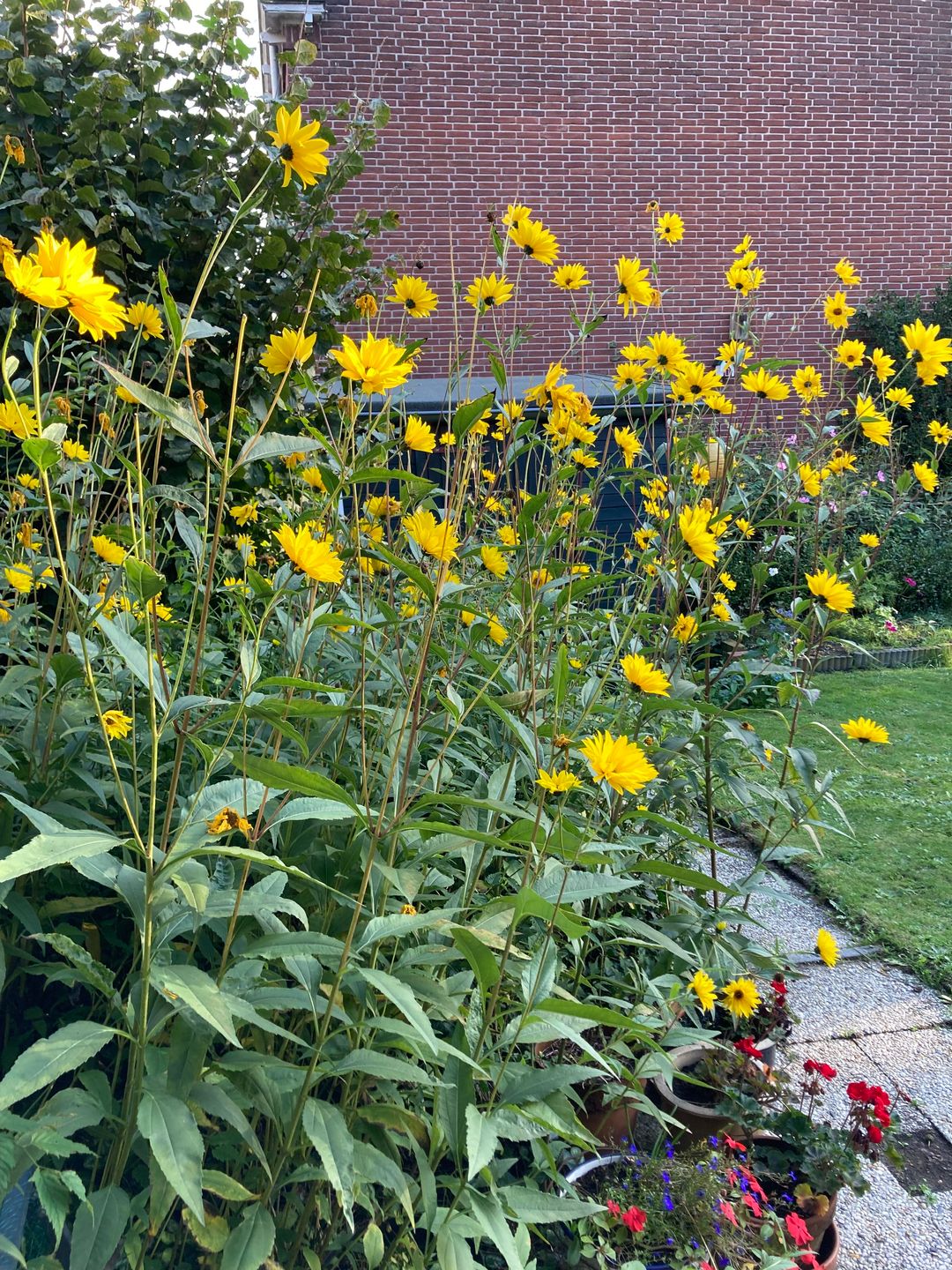 Photo 38 of Anthony Duyckstraat 2