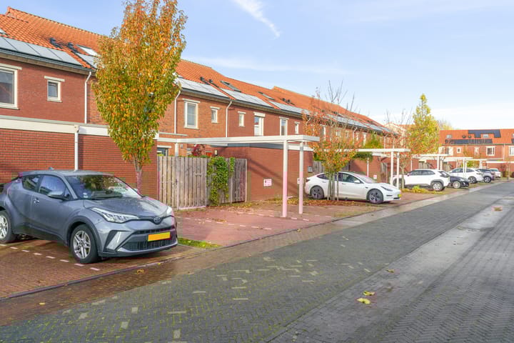 Photo 28 of Fossa Italica 181