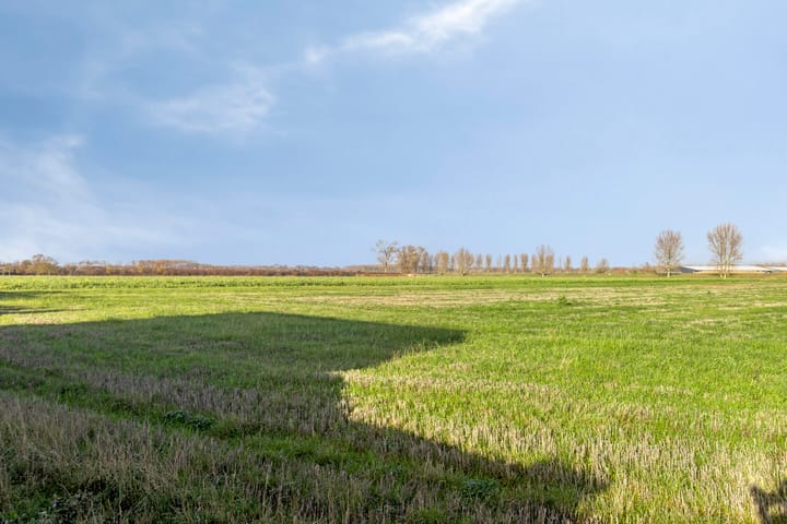 Foto 4 van Mosselpolderstraat 12