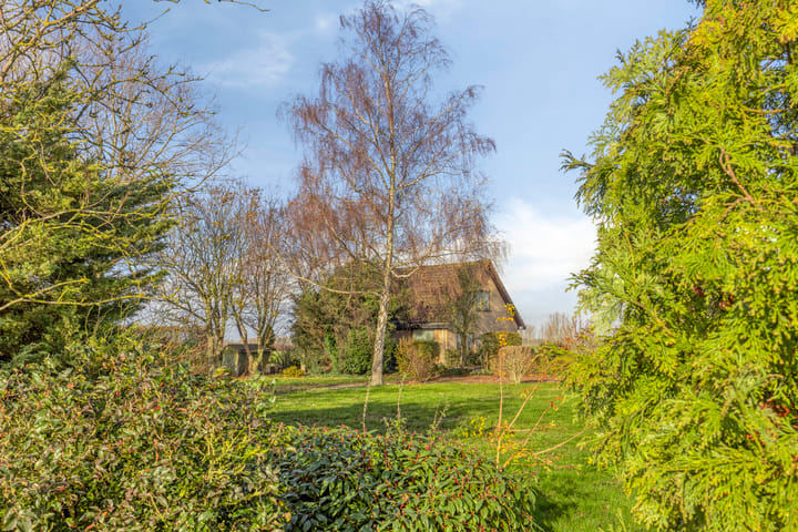 Foto 6 van Mosselpolderstraat 12