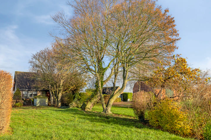 Foto 7 van Mosselpolderstraat 12