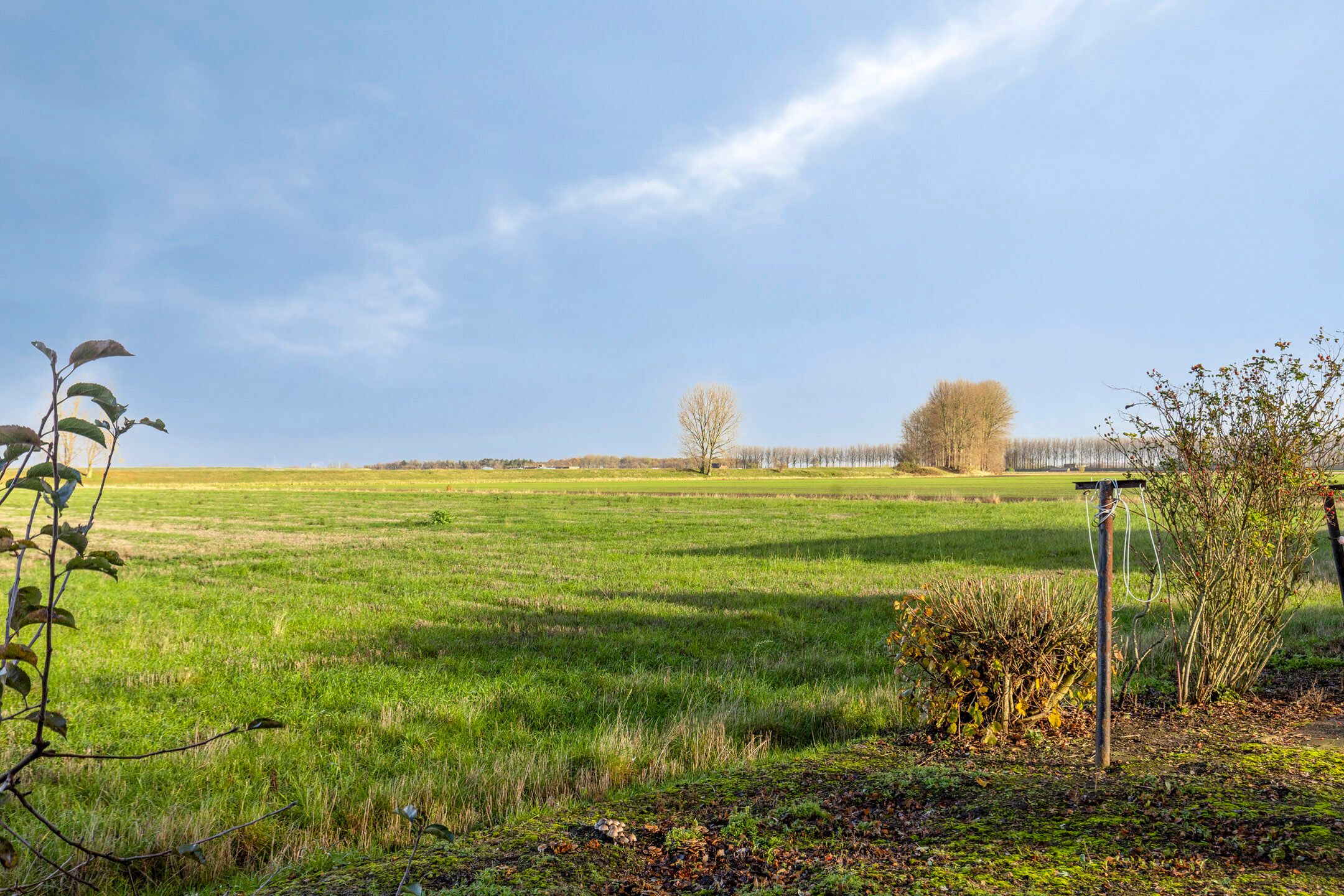 Foto 30 van Mosselpolderstraat 12