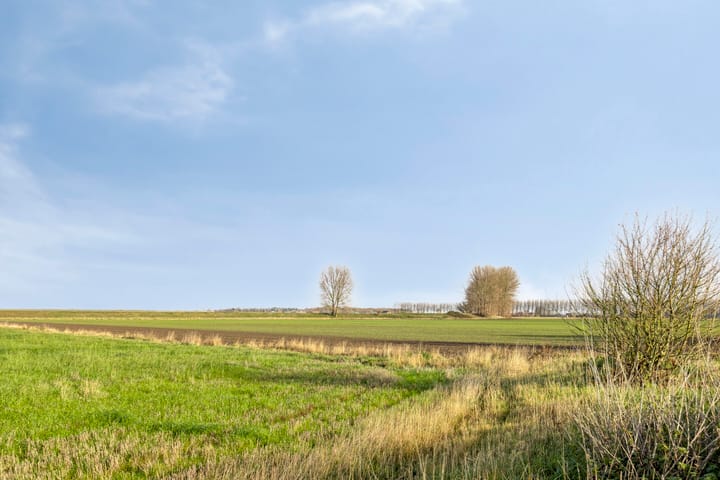 Foto 37 van Mosselpolderstraat 12