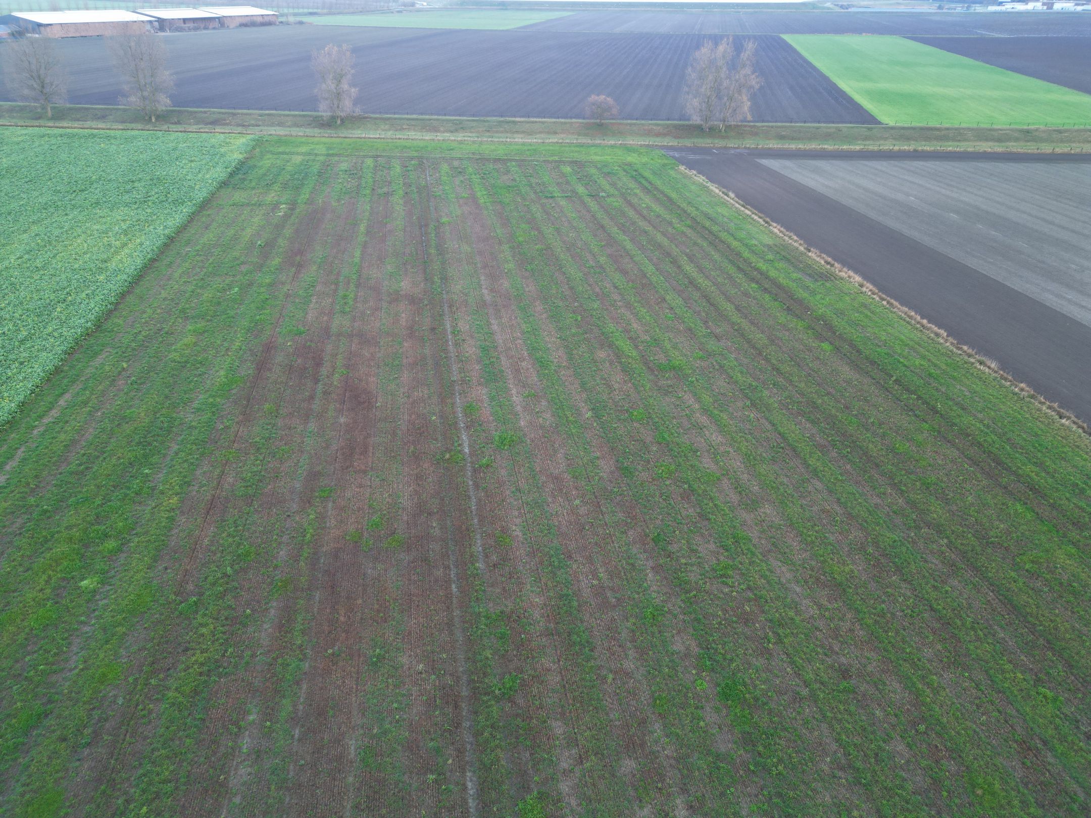 Foto 39 van Mosselpolderstraat 12