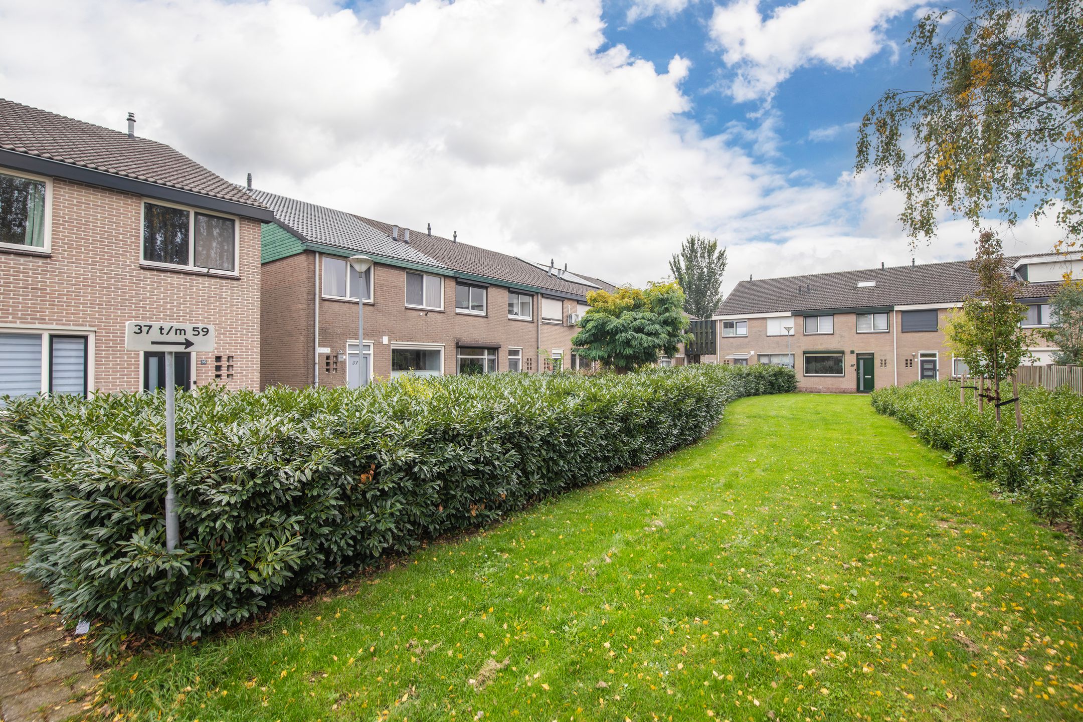 Foto 6 van Looyenland 39