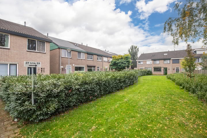 Foto 6 van Looyenland 39