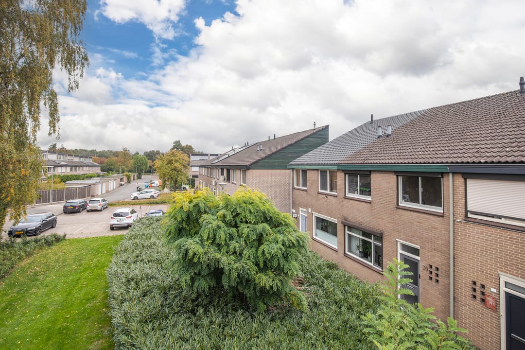 Foto 7 van Looyenland 39