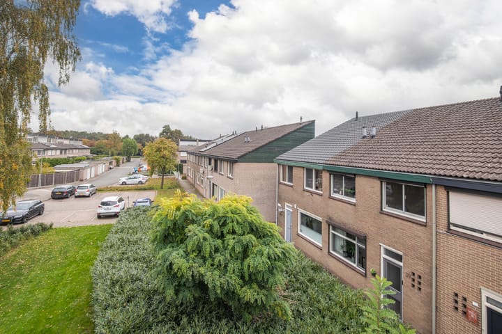 Foto 38 van Looyenland 39