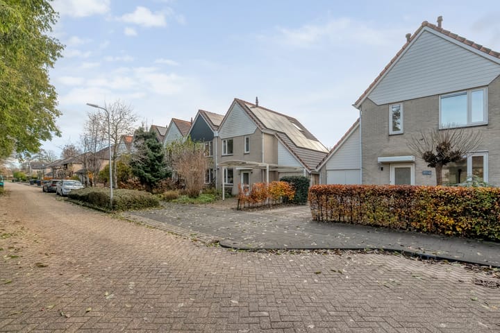 Photo 50 of Kluft 42