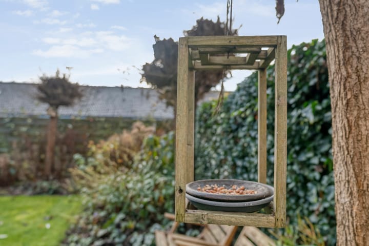 Photo 43 of Kluft 42