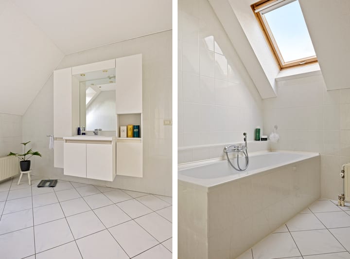 Foto 26 van Karekiet 12