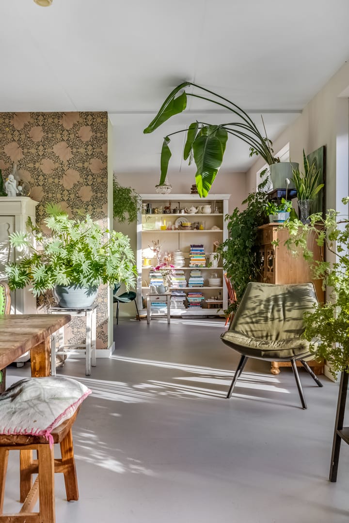 Photo 22 of Monetahof 3