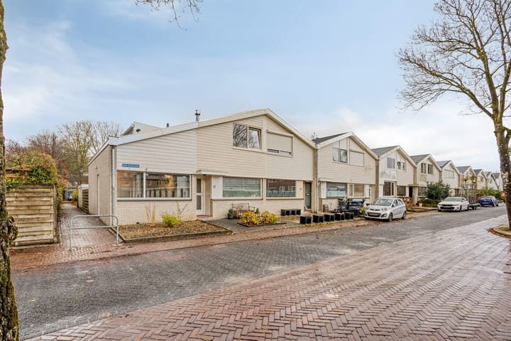 Foto 1 van Van Hallstraat 6