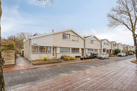 Van Hallstraat thumbnail