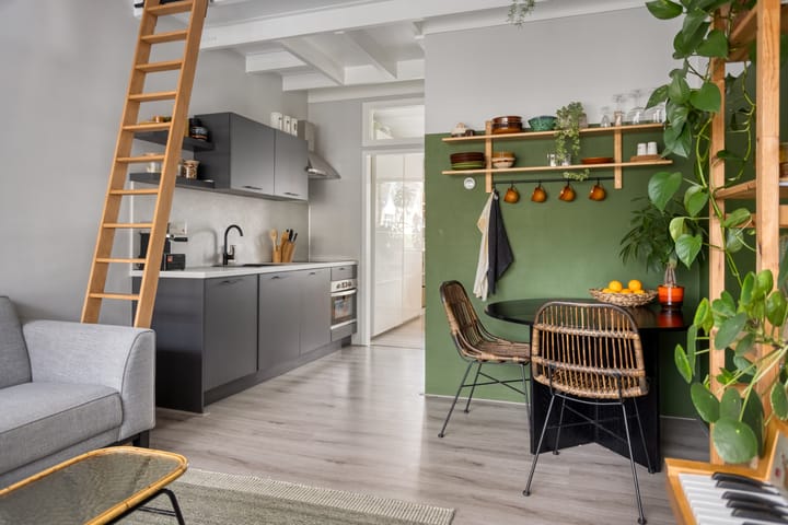 Foto 10 van Van Hallstraat 6